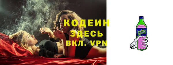 сатива Заволжье