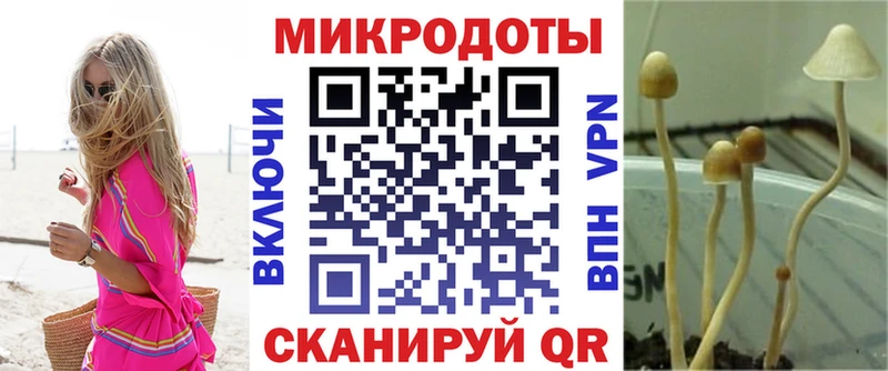 Псилоцибиновые грибы мицелий дарнет шоп Голицыно